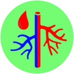 vascular diseases android application logo